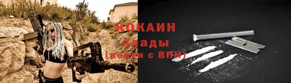 мяу мяу кристалл Ельня
