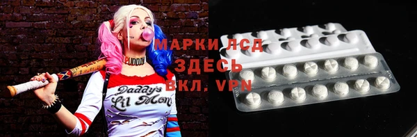 прущие грибы Елабуга
