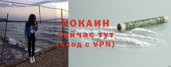 прущие грибы Елабуга