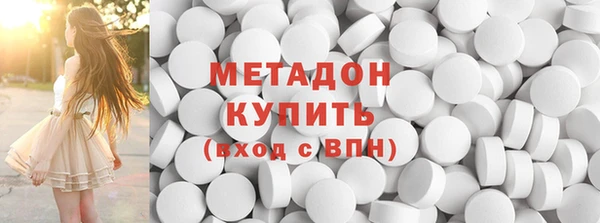 прущие грибы Елабуга