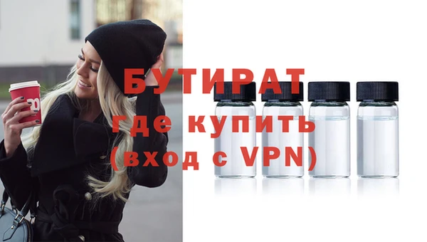прущие грибы Елабуга