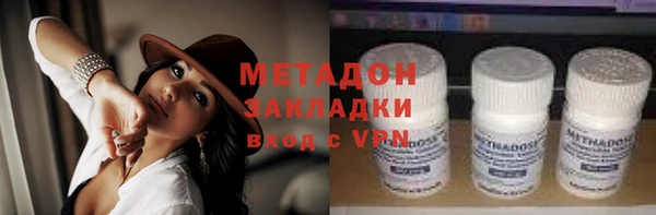 прущие грибы Елабуга