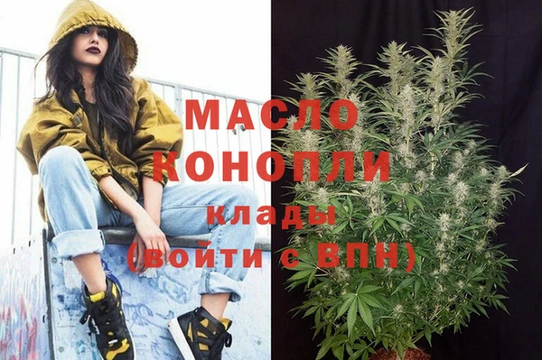 прущие грибы Елабуга