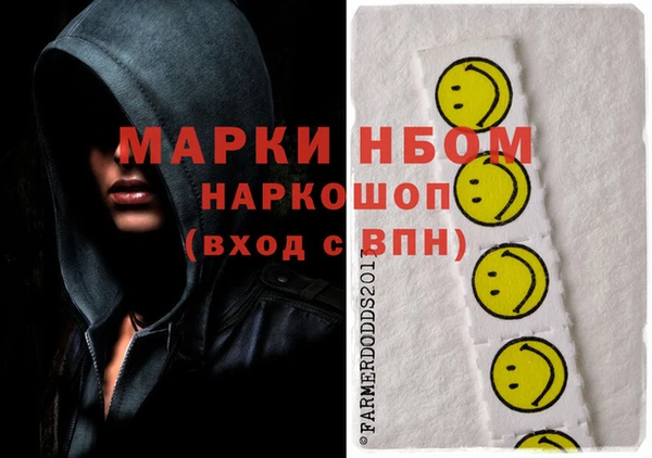 прущие грибы Елабуга