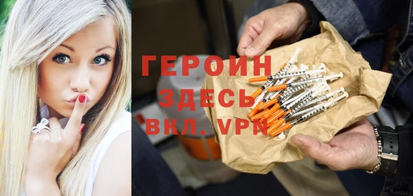 прущие грибы Елабуга