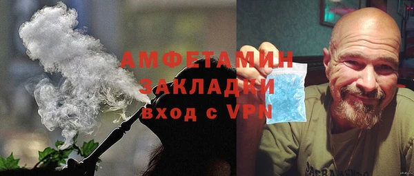 прущие грибы Елабуга