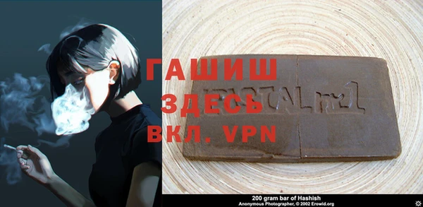 прущие грибы Елабуга