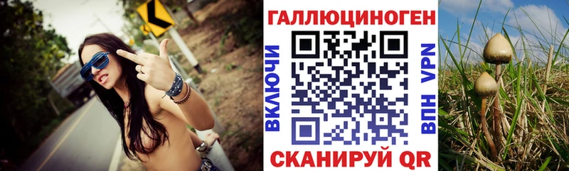 Галлюциногенные грибы ЛСД Купить закладки Волоколамск